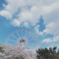 ❤️소소하지만 확실히 즐기는 일상❤️
