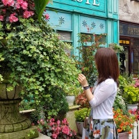 보고 그리고 사랑하라