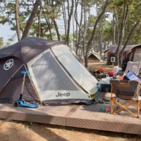 껌딱지랑 오늘은 뭐하지?