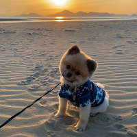 ❤️리보니는 행복해❤️