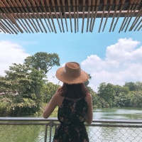 :: 찐스 데일리 ::