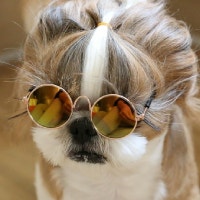 박하향기와 몽뽀의 행복이야기!!