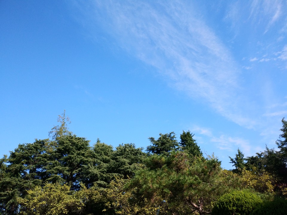 프로필