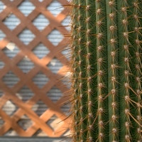 슬 금 쳐 다 보 기