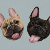 프렌치불독 오드리와 헵번이 그리고 개엄마의 일상