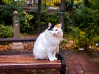 잘 사고 잘 먹고 잘 다니고