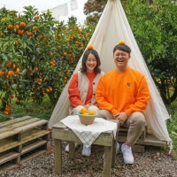 특별하게, 소소하게