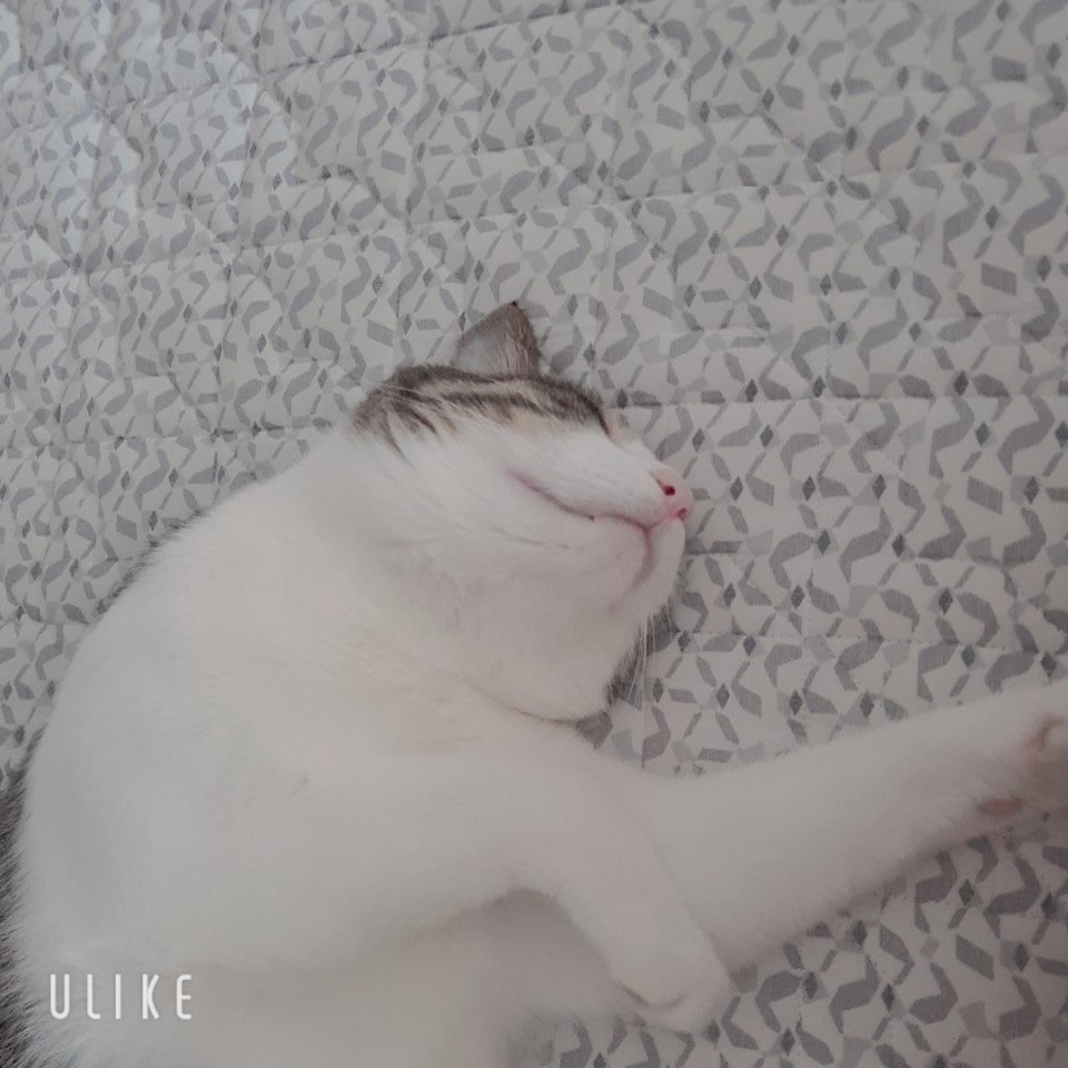 프로필
