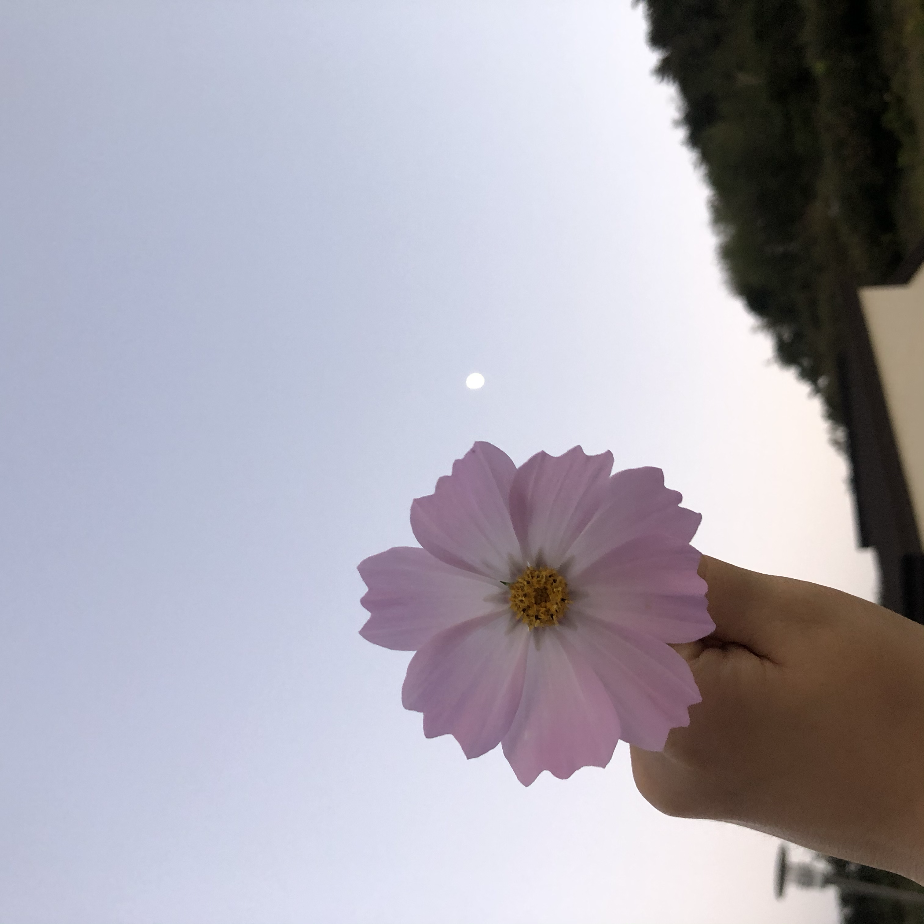 프로필