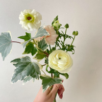 소비왕 영이의 영앤소소