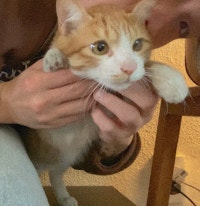 보이는대로 느끼는대로