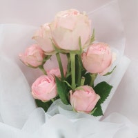 라니Rany's Blog♥