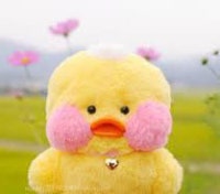 쏘요미의 소확행