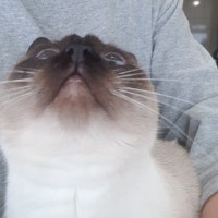 김작심씨 블로그^^♡