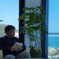 사막을 건너는 고래의 꿈