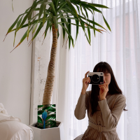 크리스탈 이야기