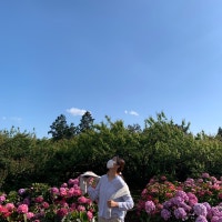 흐르는 강물처럼