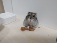 행복한 정보가 가득!