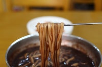 퍄노조율사의 블로그