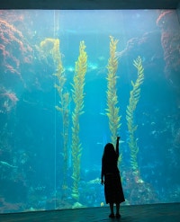 매일매일 성장하는 핼로그