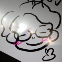 엘에스시 라이프