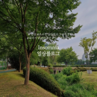 Insomnia의 일상블로그