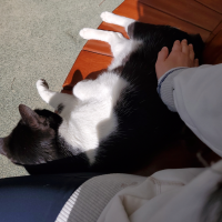 찌니빵의 술 냄새나는 일상