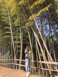 텔레토비 첫째, 뽀의 일상