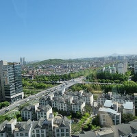 다글이, 오늘의 기록