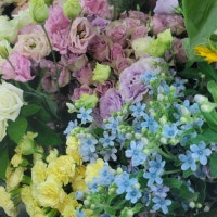 리얼꿀슈필라움