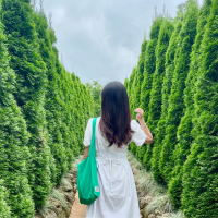 Hailey ordinary life & Tr!p