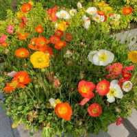 순간의 순간 ♩