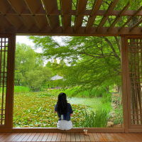 _ in search of happiness