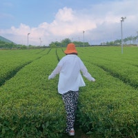 그럼에도 불구하고,