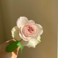 테힐라 부산 STORY