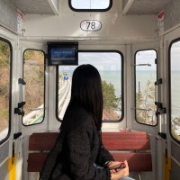 추억공간ʕ•ᴥ•ʔ