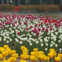 일상속에서의 행복~