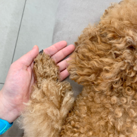 찌은이는 호호호