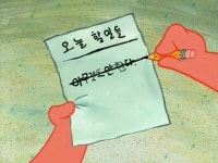 정진하의 사진일기