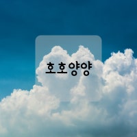 호호양양의 오늘 더 행복한 리뷰여행