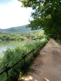 아들셋 아빠의 가계부