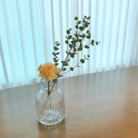 평범하고 아름다운