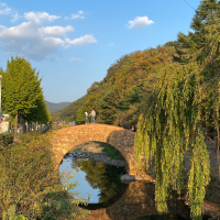 다후니의 daily 여행