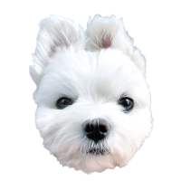 지방러의 취미생활