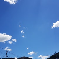 소소한 일상 기록하기