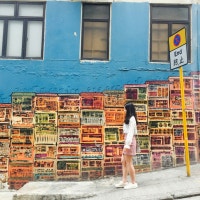 소소한 일상 ෆ⃛