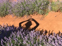 보들이의 국제연애 & 소소한 일상⎝⍢⎠