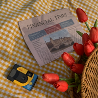 ⋆⁺₊⋆나의 소중한 나날들 ☾⋆⁺₊⋆