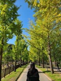 회색 한 조각 연보라 두 스푼