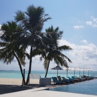 욤꽃의 먹방일기